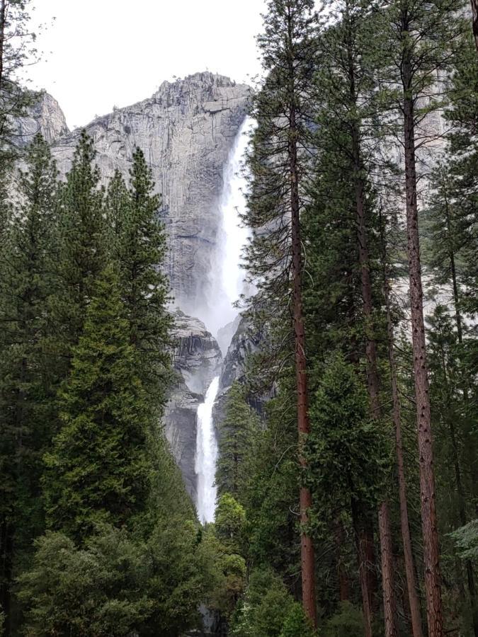 Yosemite Foothill Retreat Otel Coarsegold Dış mekan fotoğraf